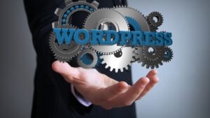 Freelance WordPress Developer